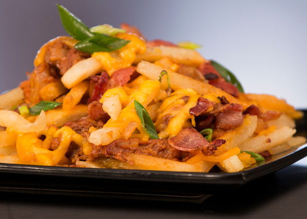 BBQ Pulled Pork Fries