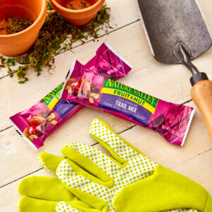 Fruit & Nut Granola Bar pkg