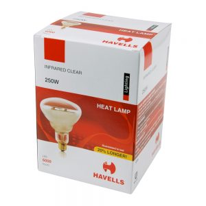 Heat Lamp Bulb | Packaged