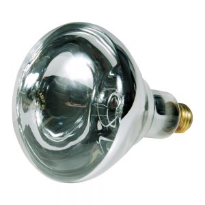 Heat Lamp Bulb | Raw Item