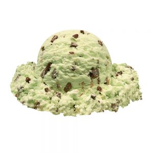 Mint Chocolate Chip Ice Cream | Raw Item