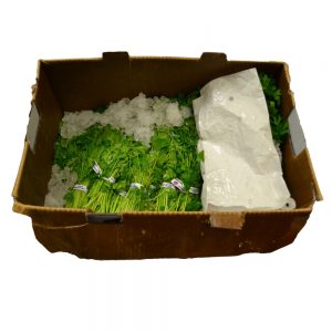 Italian Parsley | Packaged