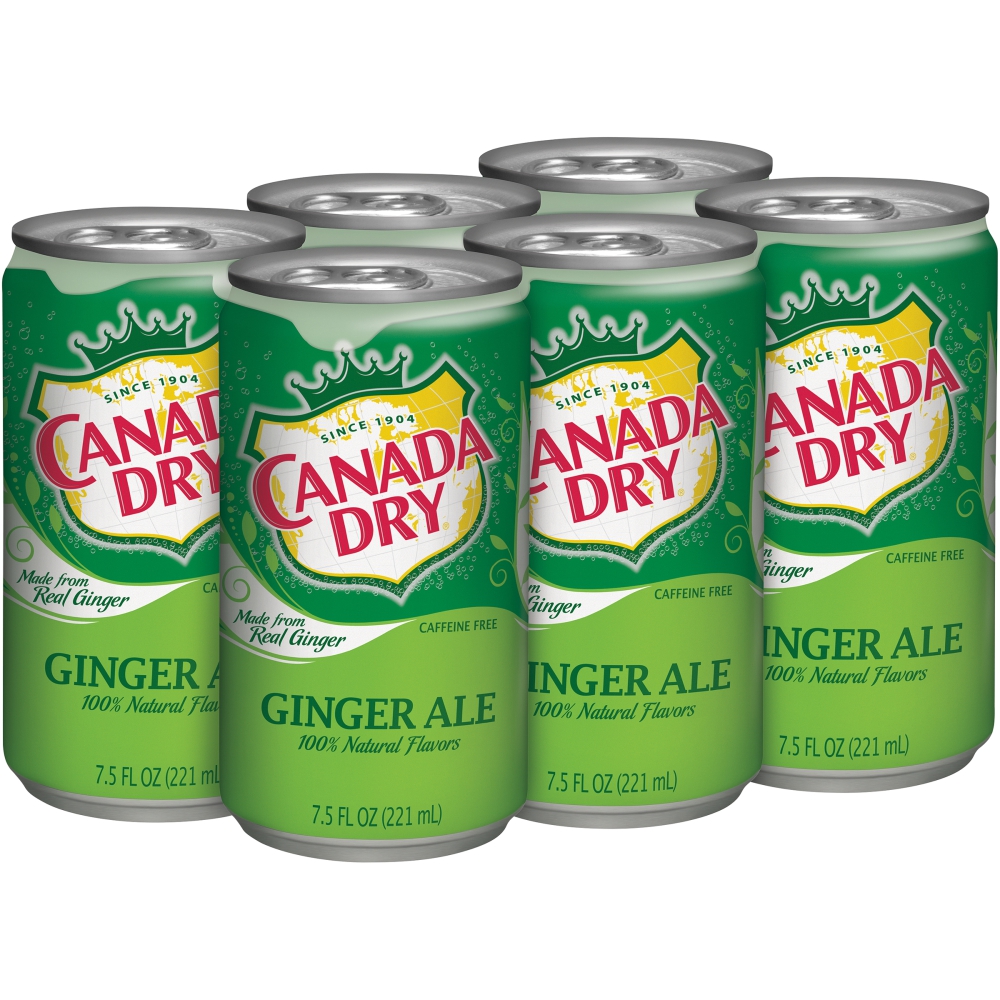 Ginger Ale Soft Drink | Packaged