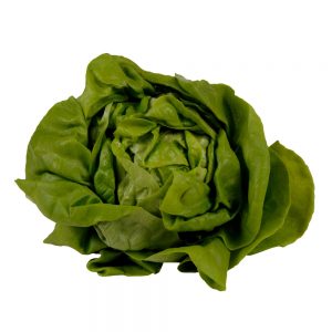 Boston Bibb Lettuce | Raw Item