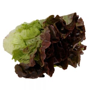 Red Leaf Lettuce | Raw Item