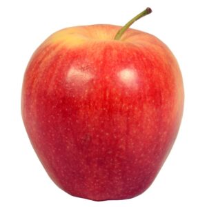 Gala Apple 64ct | Raw Item