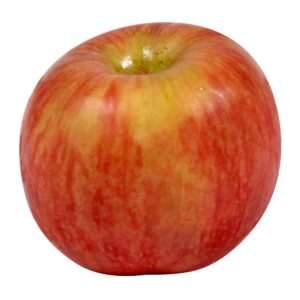 APPLE FUJI WXG  (WA) | Raw Item