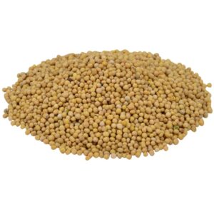 Whole Yellow Mustard Seed Spice | Raw Item