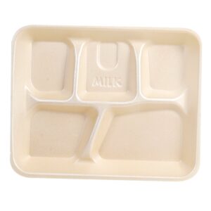 5-Compartment School Lunch Trays | Raw Item