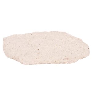 Fritters Breaded Pork Loin | Raw Item