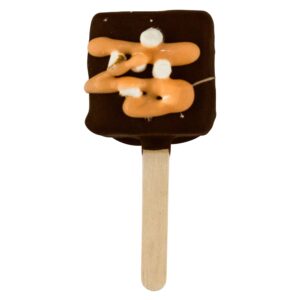 Ice Box Summertime S'mores Mini Bar | Raw Item