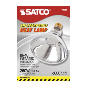 BULB HT LAMP SHTRPRF CLR 250WATT 1CT | Packaged
