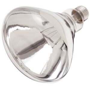 BULB HT LAMP SHTRPRF CLR 250WATT 1CT | Raw Item