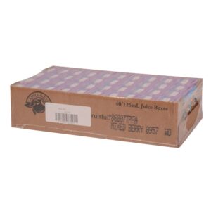 Mixed Berry Juice Boxes | Packaged