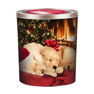 Lab Puppies Popcorn Tin | Packaged