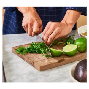 Fresh Cilantro | Styled