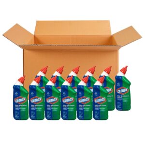 Toilet Bowl Cleaner with Bleach | Styled