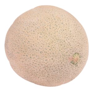 Jumbo Cantaloupe | Raw Item