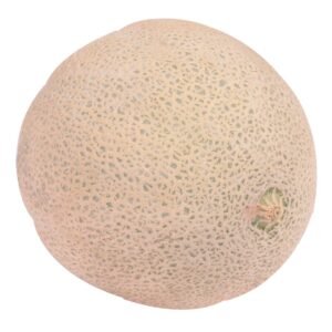 Cantaloupe | Raw Item