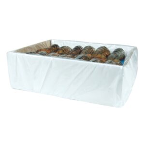 LOBSTER TL NATLC 5-6Z 10#AVG | Packaged