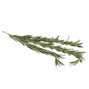 Fresh Rosemary | Raw Item