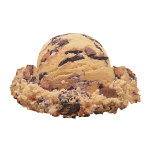 Peanut Butter Moose Tracks Ice Cream | Raw Item