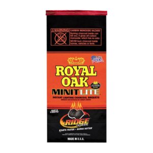 Instant Light Charcoal Briquettes | Packaged