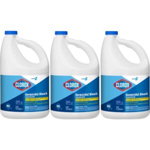 Clorox Bleach | Styled