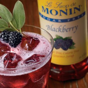 SYRUP BLKBRY SGR FR PLAS 1LTR | Styled