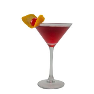 SYRUP CHRY TART PLAS 1LTR MONIN | Styled