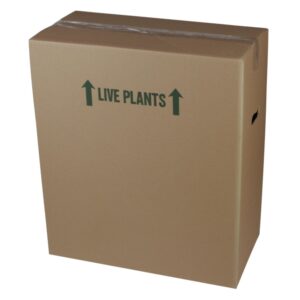 Red Holiday Poinsettia | Corrugated Box