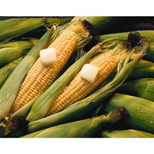 Salted Butter Chips, 7.71 gm. | Styled