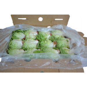 Boston Bibb Lettuce | Packaged