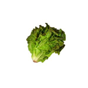 Red Leaf Lettuce | Raw Item