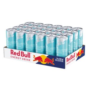 RED BULL WINTER VAN BRY  8.4FLZ | Packaged