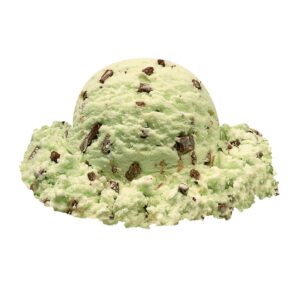 Mint Chocolate Chip Hard Serve Ice Cream | Raw Item
