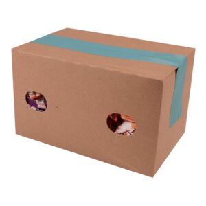 4-24 2.5FLZ POPSICLE TWIN POP ASST | Corrugated Box