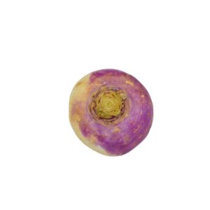 TURNIP 25# | Raw Item