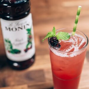 SYRUP BLK RASPB PLAS 1LTR MONIN | Styled