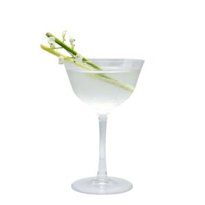 SYRUP LEMGRASS PLAS 1LTR MONIN | Styled