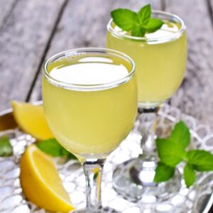 SYRUP LEMGRASS PLAS 1LTR MONIN | Styled