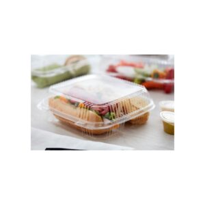 3-Compartment Plastic Containers | Styled