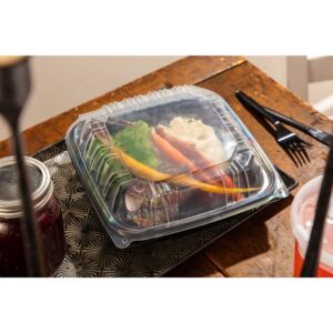 1-Compartment Dual Colored Container | Styled
