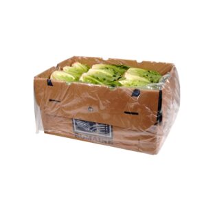 Romaine Lettuce | Packaged