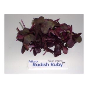 Granulated Sugar | Raw Item