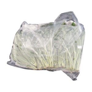 SAGE FRSH 1# MRKN | Packaged