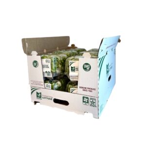 Butter Bibb Lettuce | Packaged