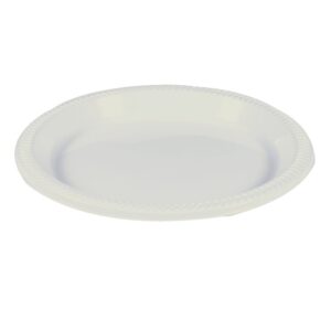 9″ White Plastic Plates | Raw Item