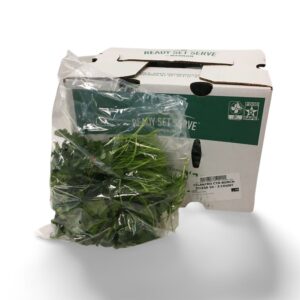 CILANTRO BUNCHED 10-3CT P/L | Styled