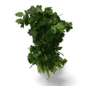 CILANTRO BUNCHED 10-3CT P/L | Raw Item